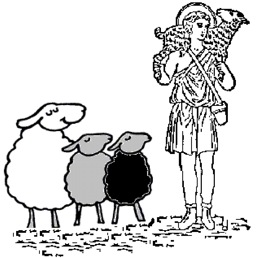 shepherd